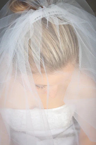 花嫁のウェディング ドレスとベールでポーズ — ストック写真