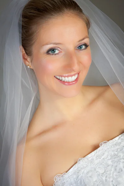 Bride posing in wedding dress and veil Stock Image