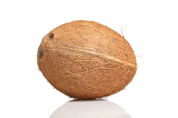 Изолированный кокос — стоковое фото