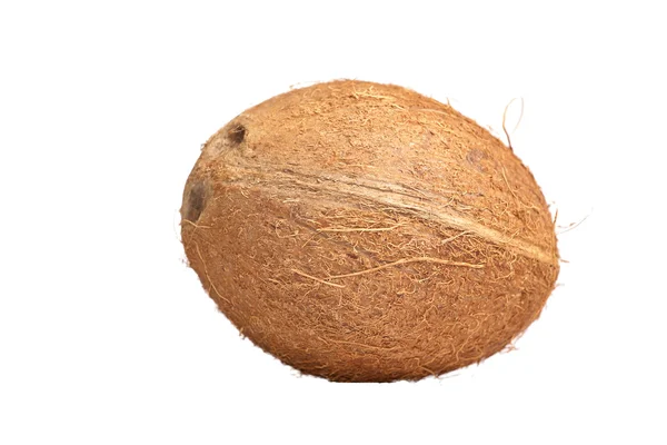 Ізольована кокосового — стокове фото