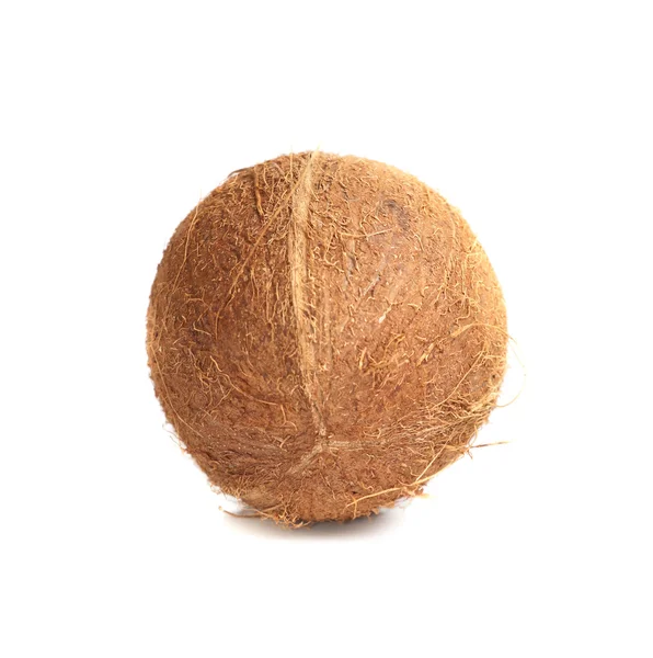 Izolované kokos — Stock fotografie