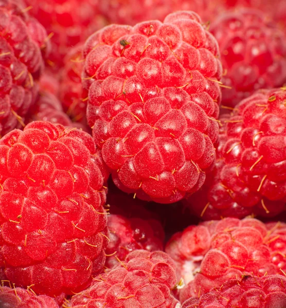 stock image Fresh raspberries