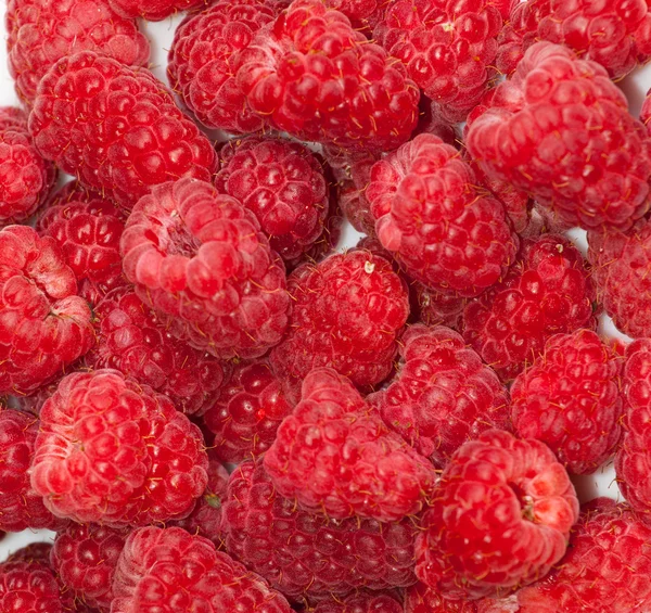 Stock image Fresh raspberries