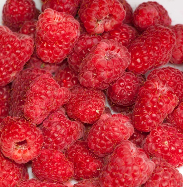 stock image Fresh raspberries