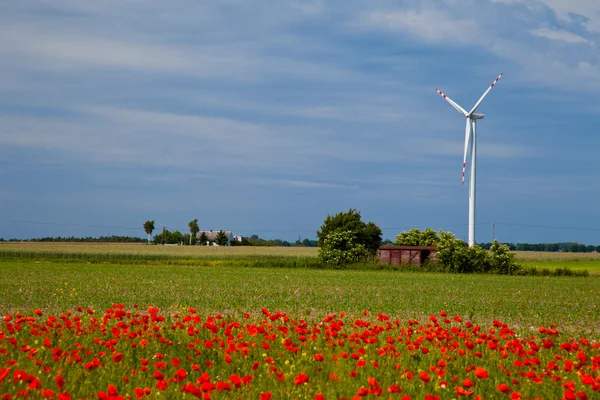 Makové pole s Větrná turbína — Stock fotografie