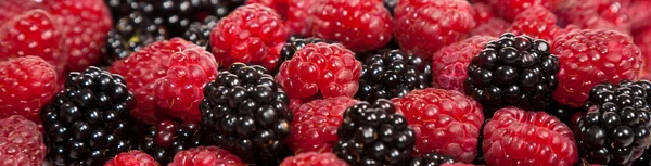 Zusammensetzung aus reifen schwarzen und roten Himbeeren und Erdbeeren — Stockfoto