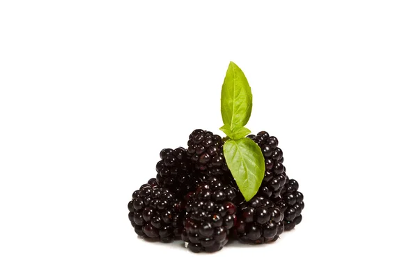 成熟的黑色和红色树莓的组成 — 图库照片