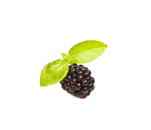 Composition of ripe black and red raspberries — Stock Photo, Image