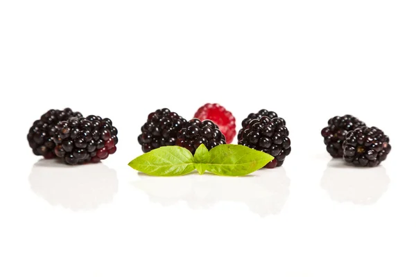 成熟的黑色和红色树莓的组成 — 图库照片