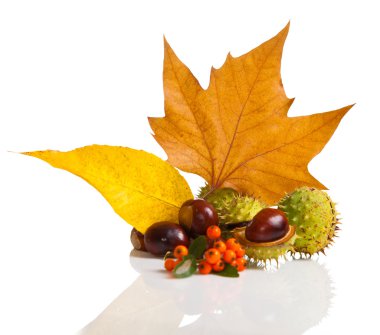 Composition of autumn chestnuts and leaves clipart