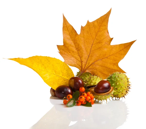 Sammansättningen av höstens kastanjer och blad — Stockfoto