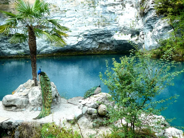 stock image Blue lake in Abkhazia