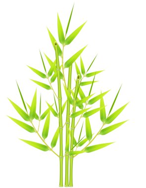 Bunch of bamboos clipart