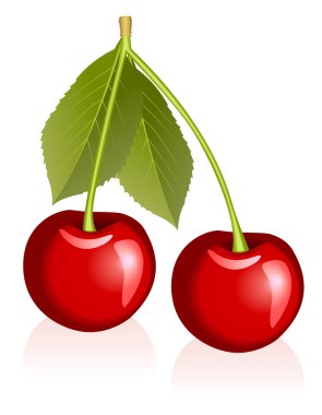 Cherries clipart