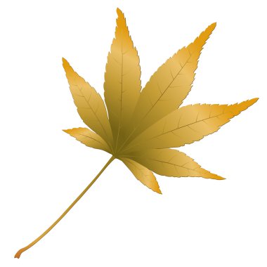 Japanese Maple leave clipart