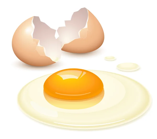 Huevo roto — Vector de stock