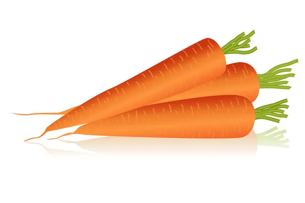 Zanahorias — Vector de stock