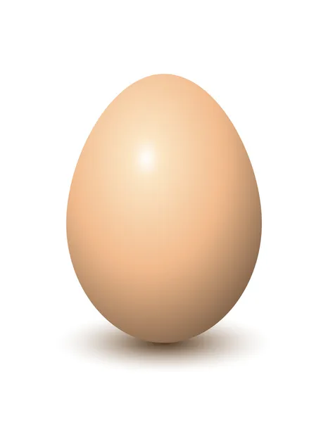 Egg — Stock Vector