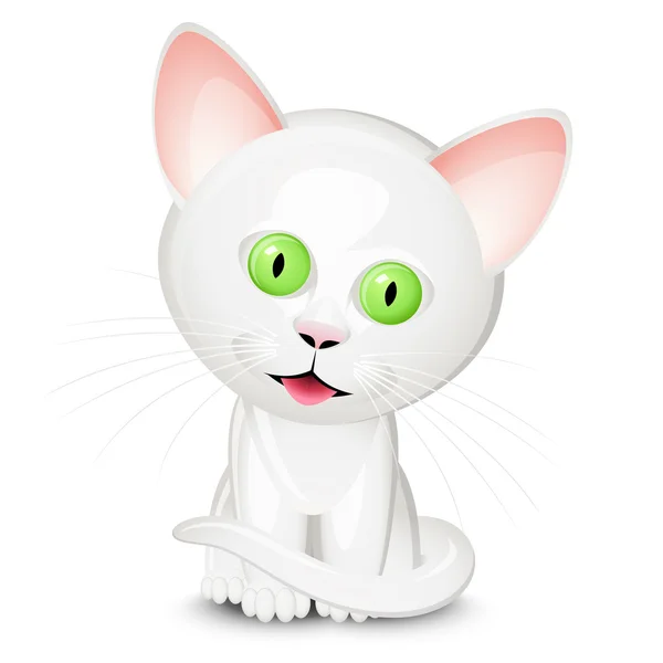 Little white cat — Stock Vector