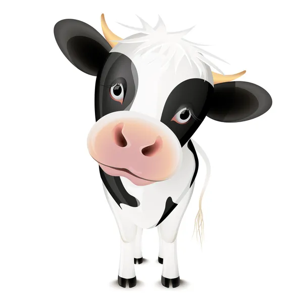 Kleine koe — Stockvector