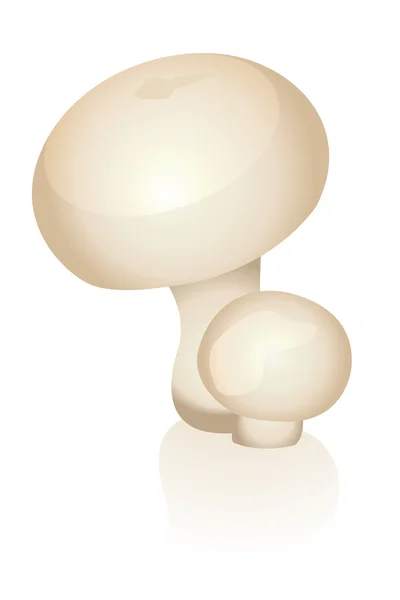 stock vector Mushrooms