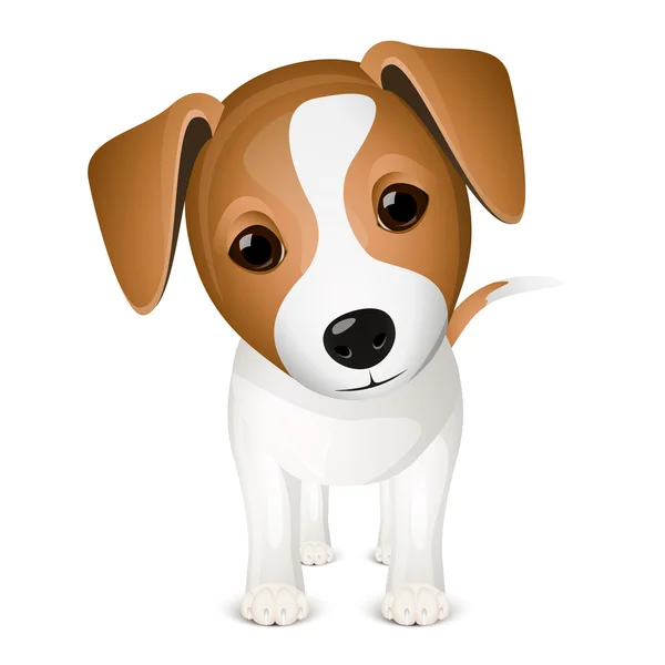 Dog avatar Vector Art Stock Images  Depositphotos
