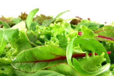 mesclun tr gros planı