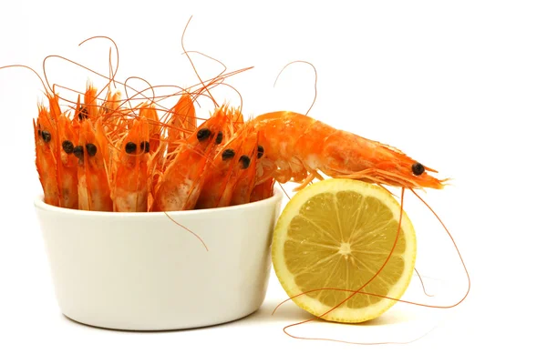 Shrimp escape — Stock Photo, Image