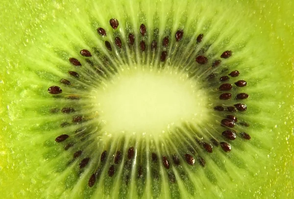 stock image Kiwi fruit