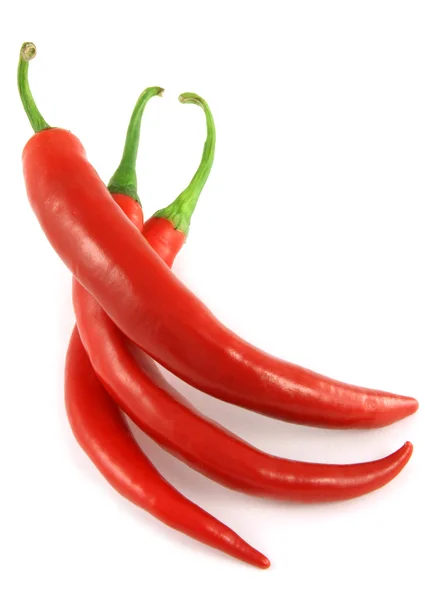 stock image Piments rouges