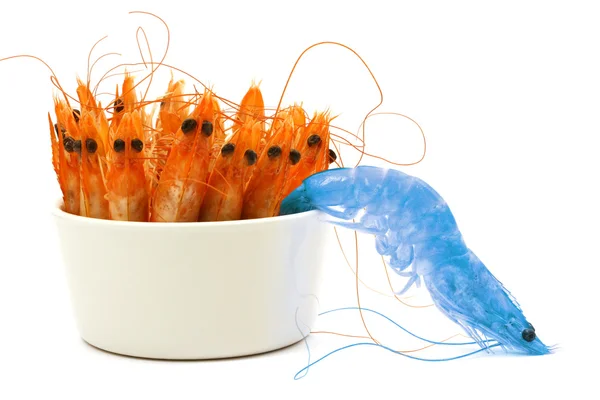 stock image Blue shrimp escape