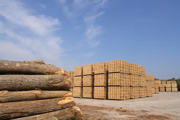 Producción de cajas de embalaje de madera — Foto de Stock