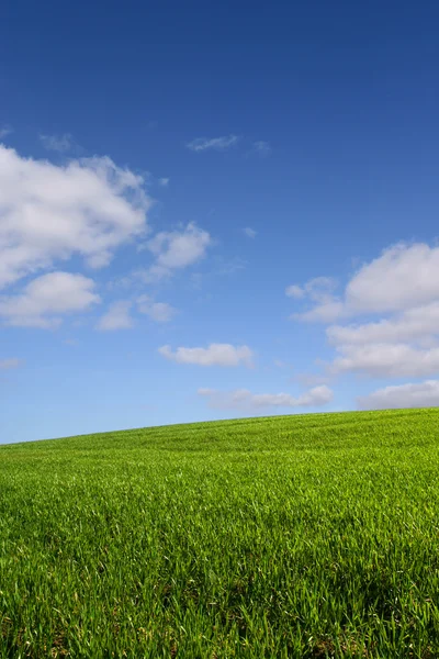 La colline verte (verticaal) — Stockfoto