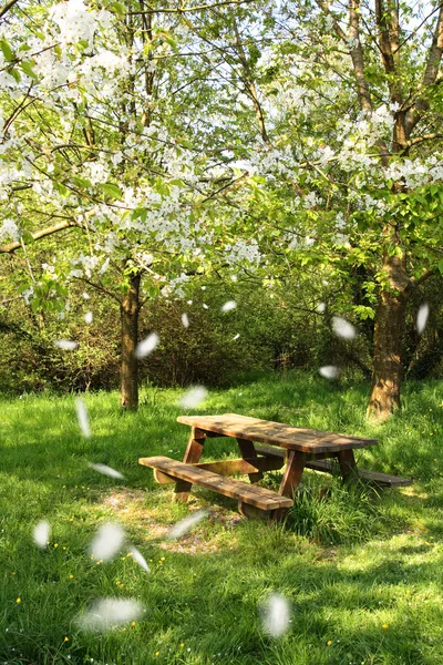 Spring picnic table — Stock Photo, Image