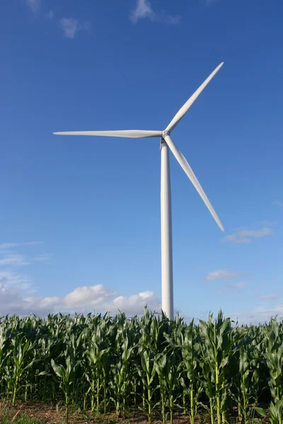 Turbina eólica en un campo — Foto de Stock