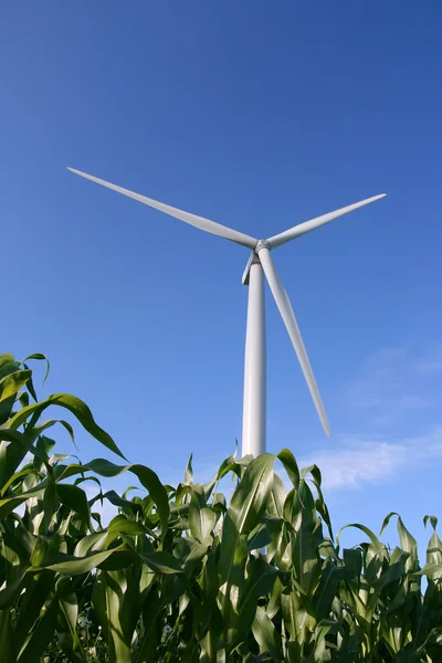 Windkraftanlage auf einem Feld — Stockfoto