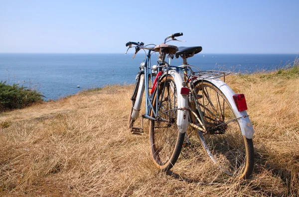 Bicicletas fijadas — Foto de Stock