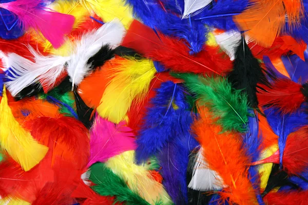 Multicolor feathers — Stock Photo, Image