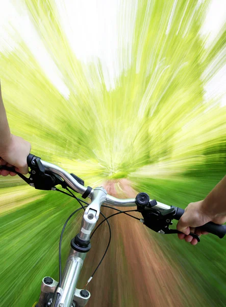 Гірський велосипед у лісі — стокове фото