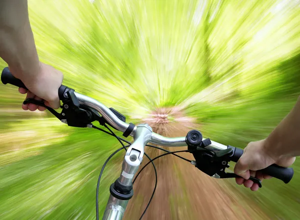Mountain biking in the forest — Stock Photo, Image