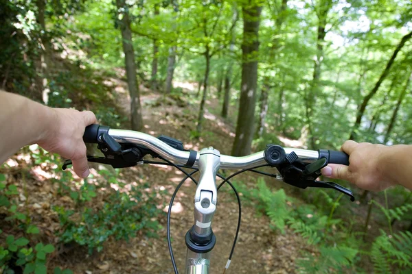 Ciclismo de montaña en el bosque — Foto de Stock