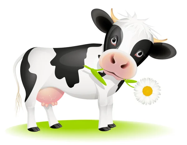 Pequeña vaca comiendo margarita — Vector de stock