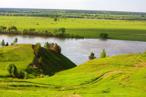 stock image View of river