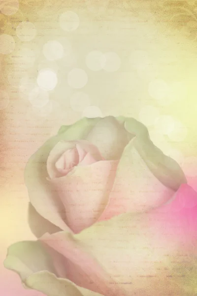 Винтажные розы фон — стоковое фото