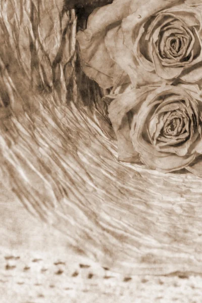 Красивий старовинний квітковий фон Стокове Фото