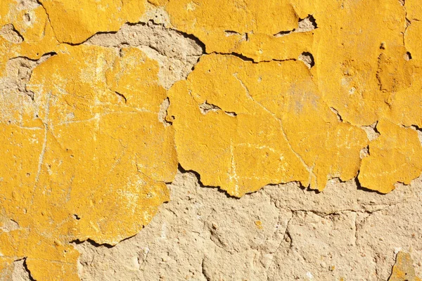 Grunge Cement Wall Stock Image