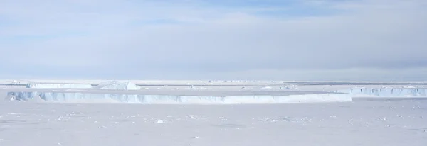 Meereis auf der Antarktis — Stockfoto