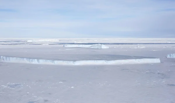 Zee-ijs op antarctica — Stockfoto