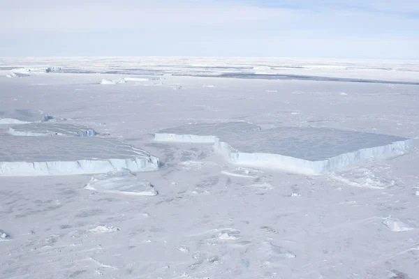 Tengeri jég Antarktisz — Stock Fotó