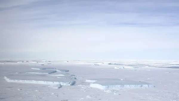 Glace marine sur l'Antarctique — Photo